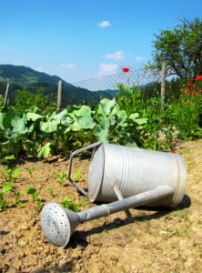 jardinier et entretien pelouse à domicile Saint Etienne