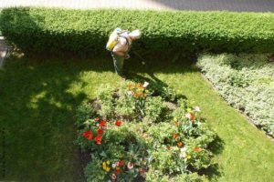 jardinier à domicile Saint Etienne